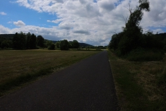 IMG_20240611_115501_00_342.insp