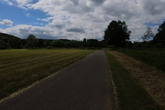 IMG_20240611_115501_00_344.insp