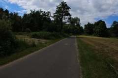IMG_20240611_115501_00_345.insp