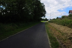 IMG_20240611_115501_00_347.insp