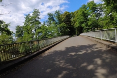 IMG_20240611_115501_00_352.insp