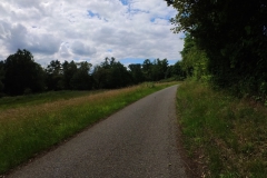 IMG_20240611_115501_00_358.insp