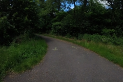 IMG_20240611_115501_00_359.insp