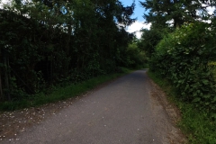 IMG_20240611_115501_00_360.insp