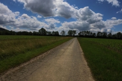 IMG_20240611_132122_00_365.insp