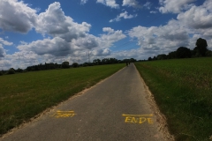 IMG_20240611_132122_00_368.insp