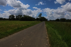 IMG_20240611_132122_00_370.insp