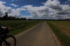 IMG_20240611_132122_00_375.insp