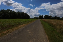 IMG_20240611_132122_00_377.insp