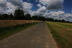 IMG_20240611_132122_00_378.insp