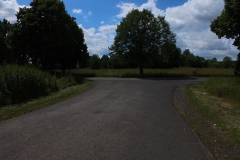 IMG_20240611_132122_00_379.insp