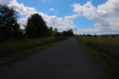 IMG_20240611_132122_00_380.insp
