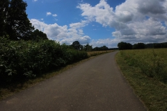 IMG_20240611_132122_00_381.insp