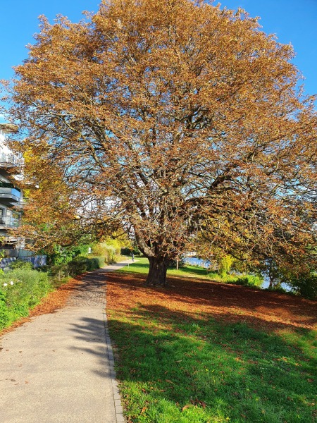 20201022_110544