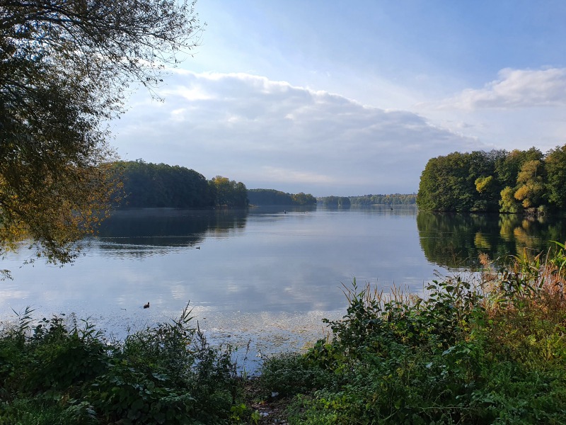 20201023_110454