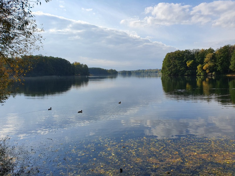 20201023_110900