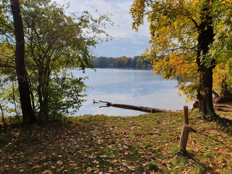 20201023_115845