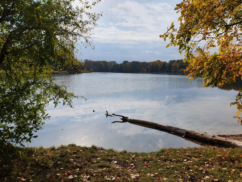 20201023_115852