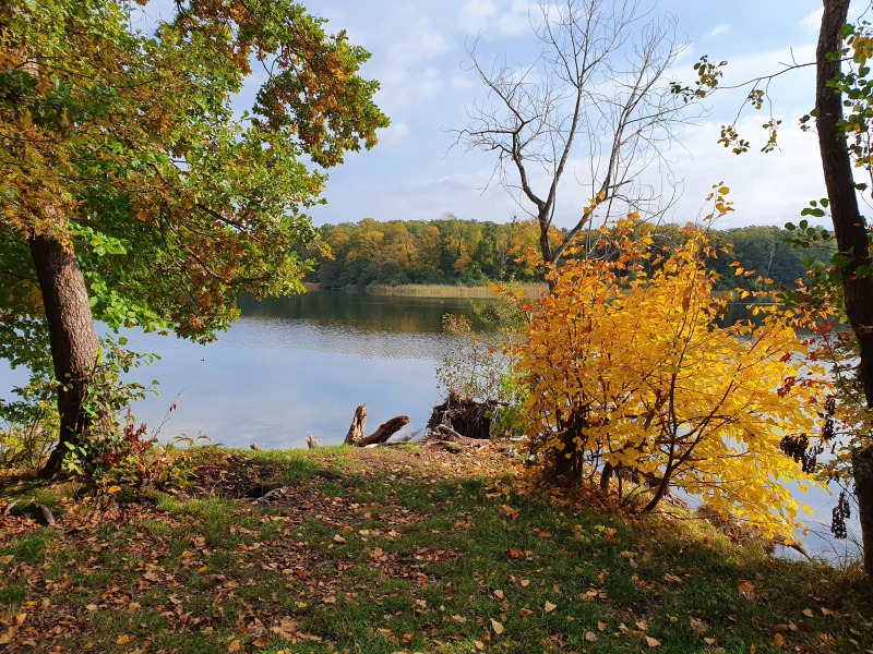 20201023_115859