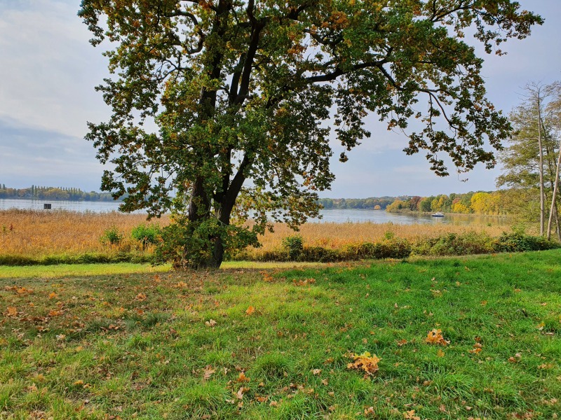 20201023_120630