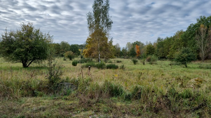 IMG-20211018-WA0002