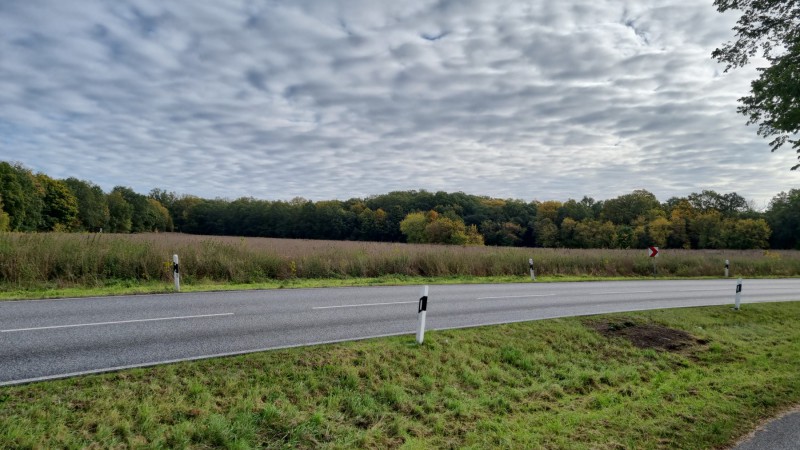 IMG-20211018-WA0015