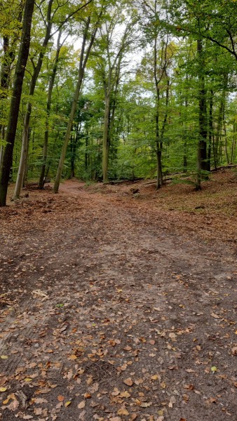 IMG-20211018-WA0030