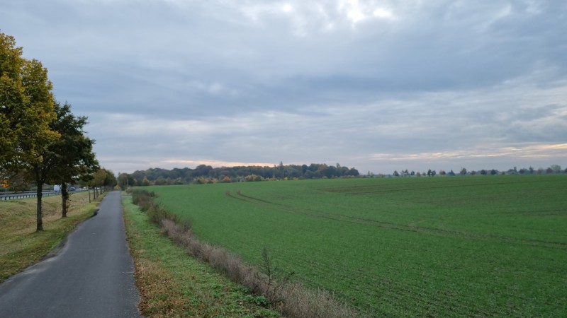 IMG-20211019-WA0000
