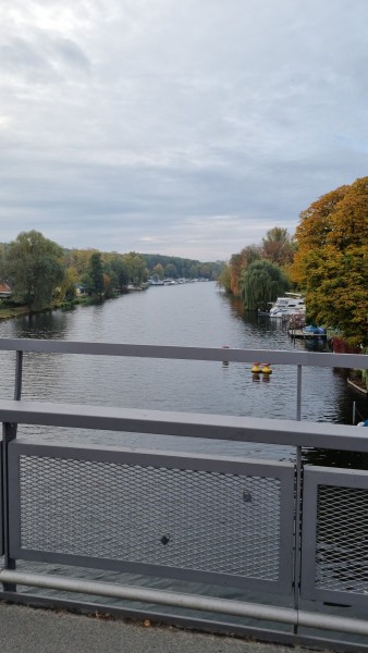IMG-20211019-WA0002