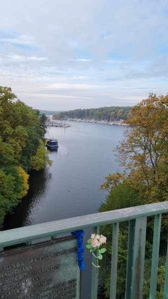 IMG-20211019-WA0004