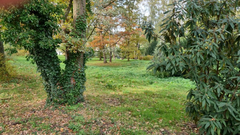 IMG-20211019-WA0041