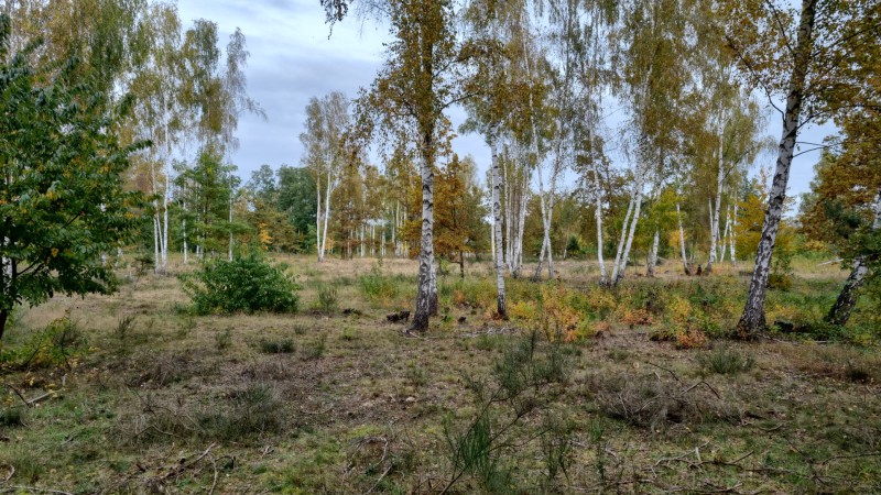 IMG-20211019-WA0046