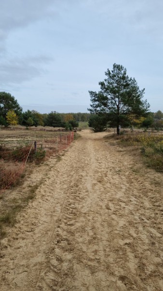 IMG-20211019-WA0048