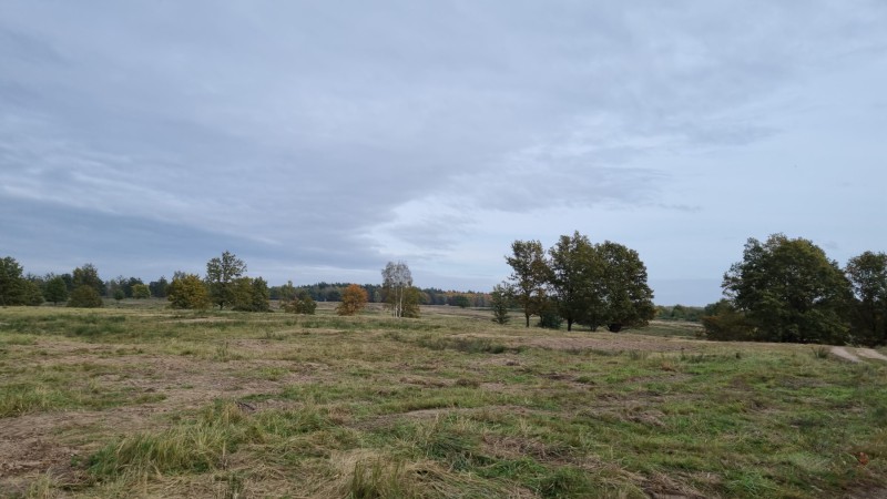 IMG-20211019-WA0054
