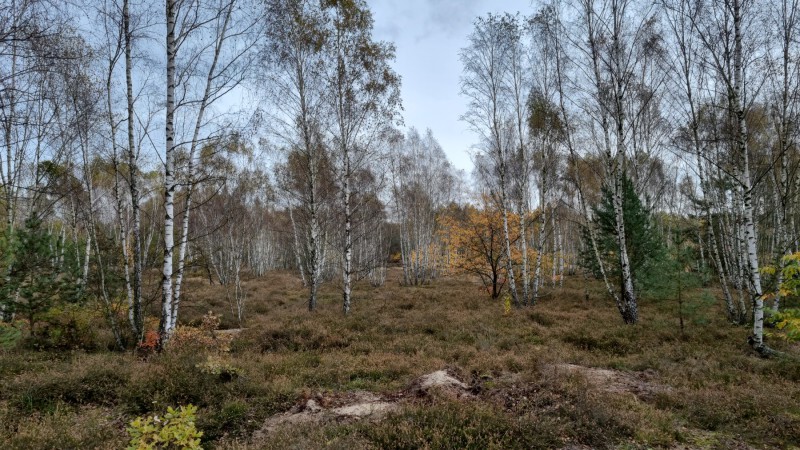 IMG-20211019-WA0060