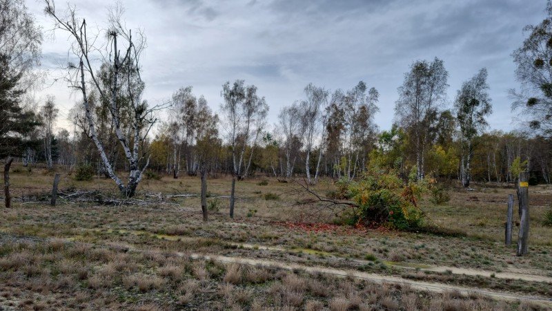 IMG-20211019-WA0062