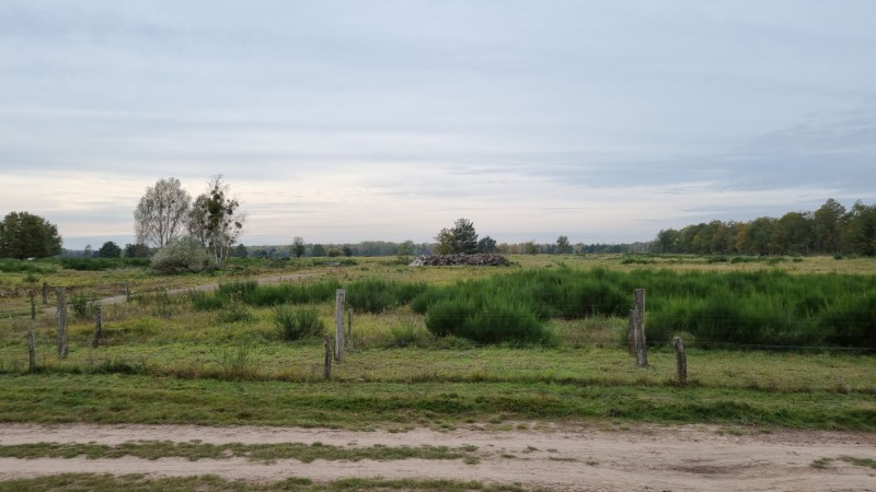 IMG-20211019-WA0066