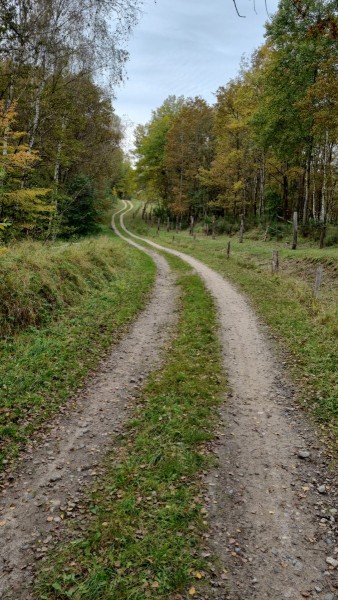 IMG-20211019-WA0074
