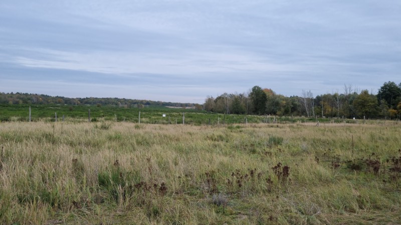IMG-20211019-WA0076