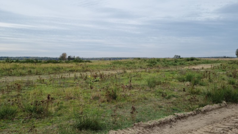 IMG-20211019-WA0078