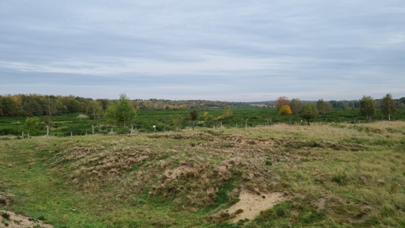 IMG-20211019-WA0085