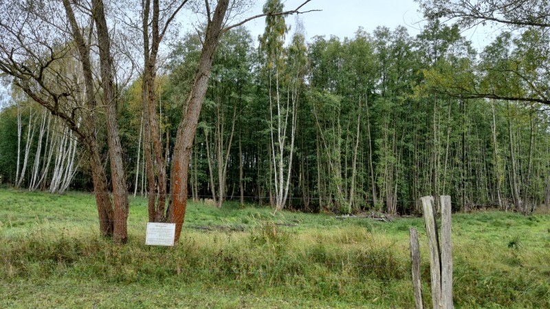 IMG-20211019-WA0098