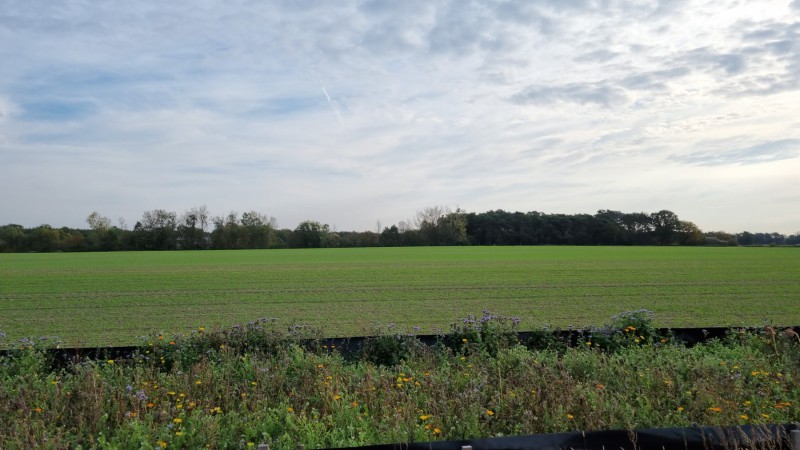 IMG-20211020-WA0003