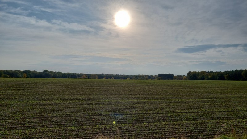 IMG-20211020-WA0006