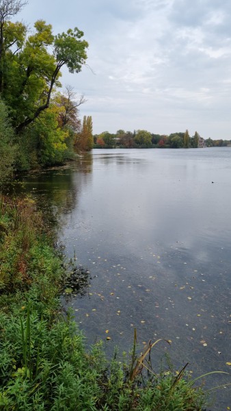 IMG-20211020-WA0014