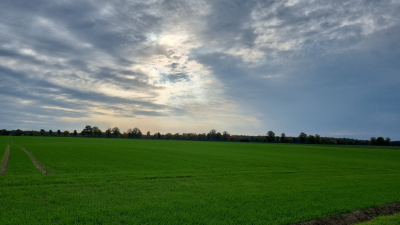 IMG-20211020-WA0029