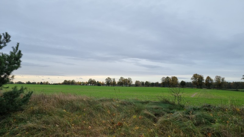 IMG-20211022-WA0000