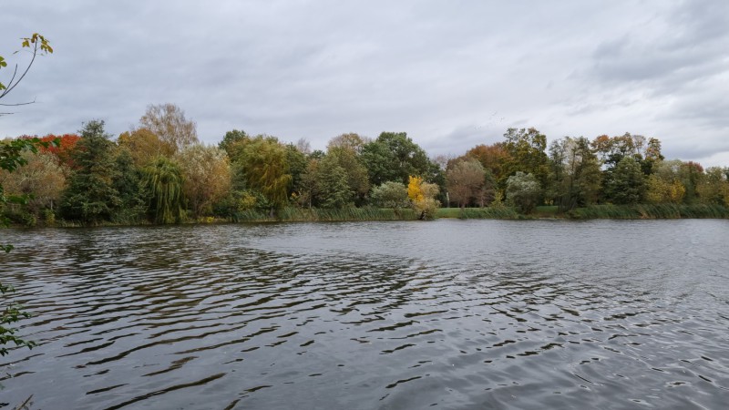 IMG-20211022-WA0044