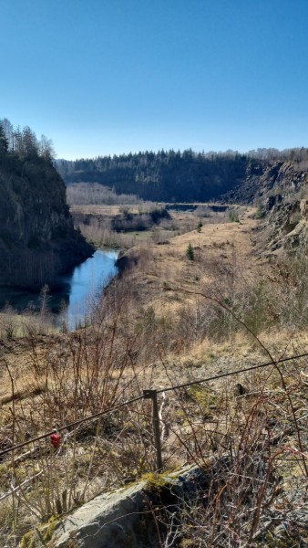 IMG-20220313-WA0017