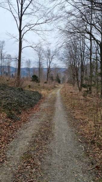 IMG-20220314-WA0004